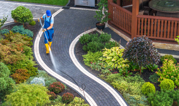 Best Pressure Washing Near Me  in Taos, NM