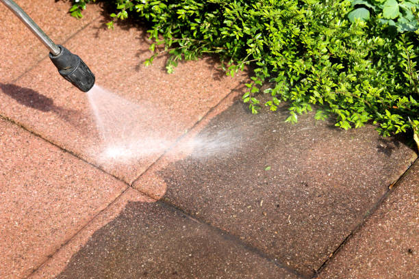 Best Residential Pressure Washing Services  in Taos, NM
