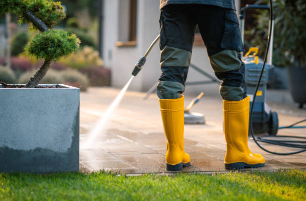 Best Residential Pressure Washing Services  in Taos, NM